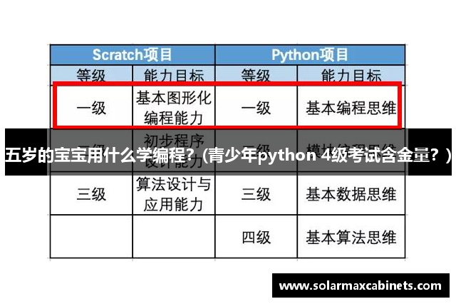 五岁的宝宝用什么学编程？(青少年python 4级考试含金量？)